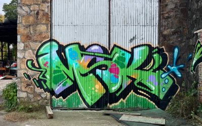 CREWS QUE DOMINAN EL JUEGO: MAD SOCIETY KINGS – MSK (EE.UU.)